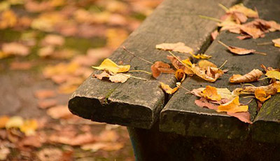 Bench with scattered dead leaves on it